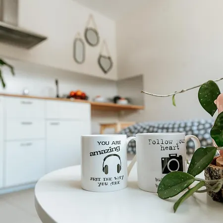 66 C Apartment Wisla