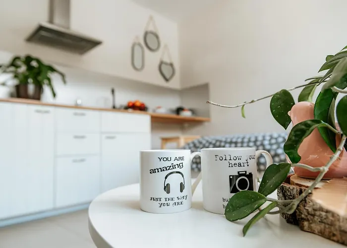 66 C Apartment Wisla